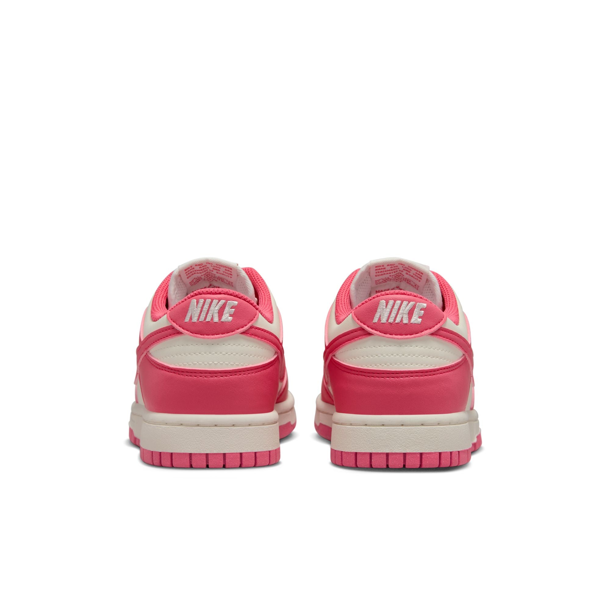 WMNS Nike Dunk Low Next Nature